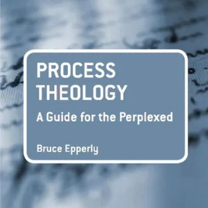 Rabatt Process Theology: A Guide for the Perplexed | 0:e upplagan