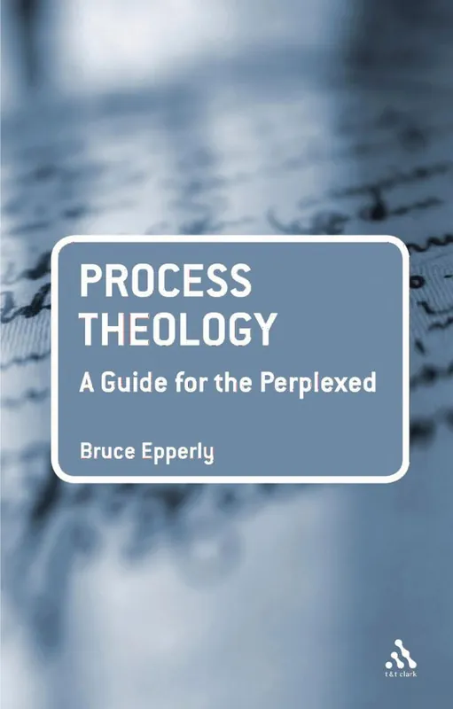 Rabatt Process Theology: A Guide for the Perplexed | 0:e upplagan