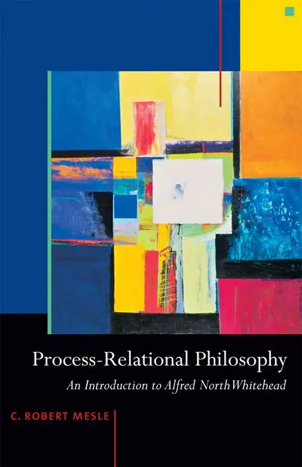 Säker betalning Process-Relational Philosophy | 1:a upplagan