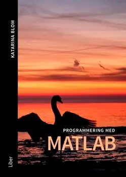 Programmering med Matlab | 1:a upplagan Snabb leverans