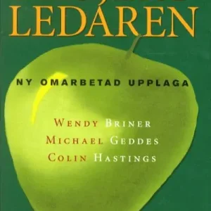 Projektledaren | 1:a upplagan Trygg betalning