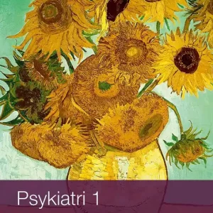 Erbjudandepris Psykiatri 1 | 1:a upplagan